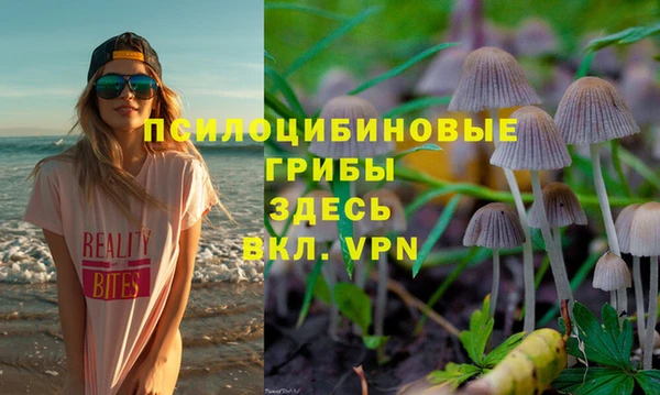 стаф Магадан