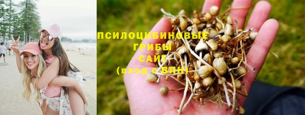 прущая мука Липки