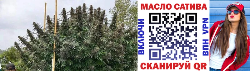 Дистиллят ТГК гашишное масло  Купить закладки  Циолковский 